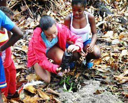Description: Children planting Bwa Torti plants in the Veuve Reserve on la Digue
